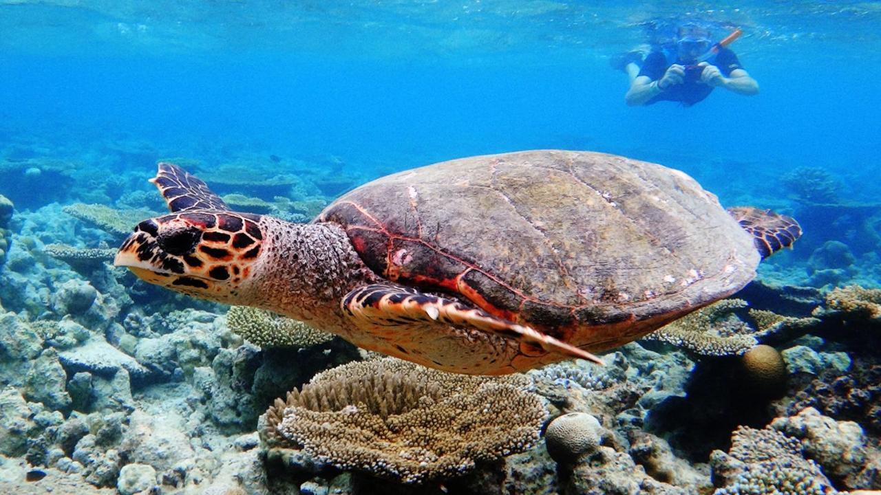 Dharavandhoo Stay Exteriér fotografie