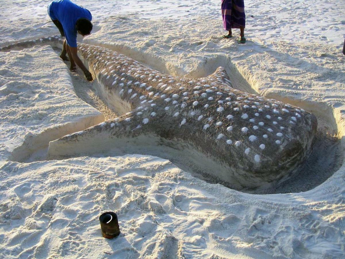 Dharavandhoo Stay Exteriér fotografie