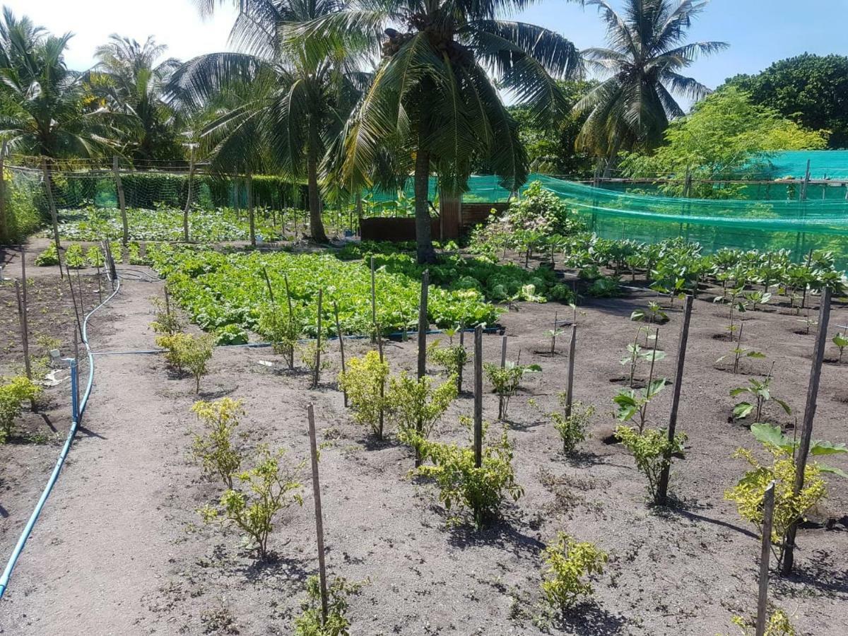 Dharavandhoo Stay Exteriér fotografie
